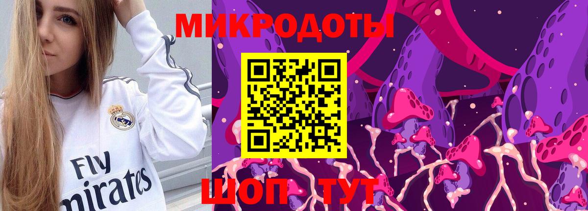 цены наркотик  Галлюциногенные грибы Psilocybe  Вход с VPN  Кингисепп 